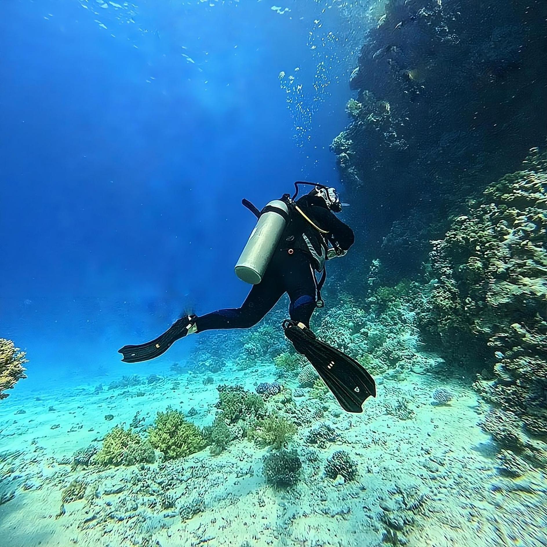 Alam B&B Marsa Alam Bagian luar foto