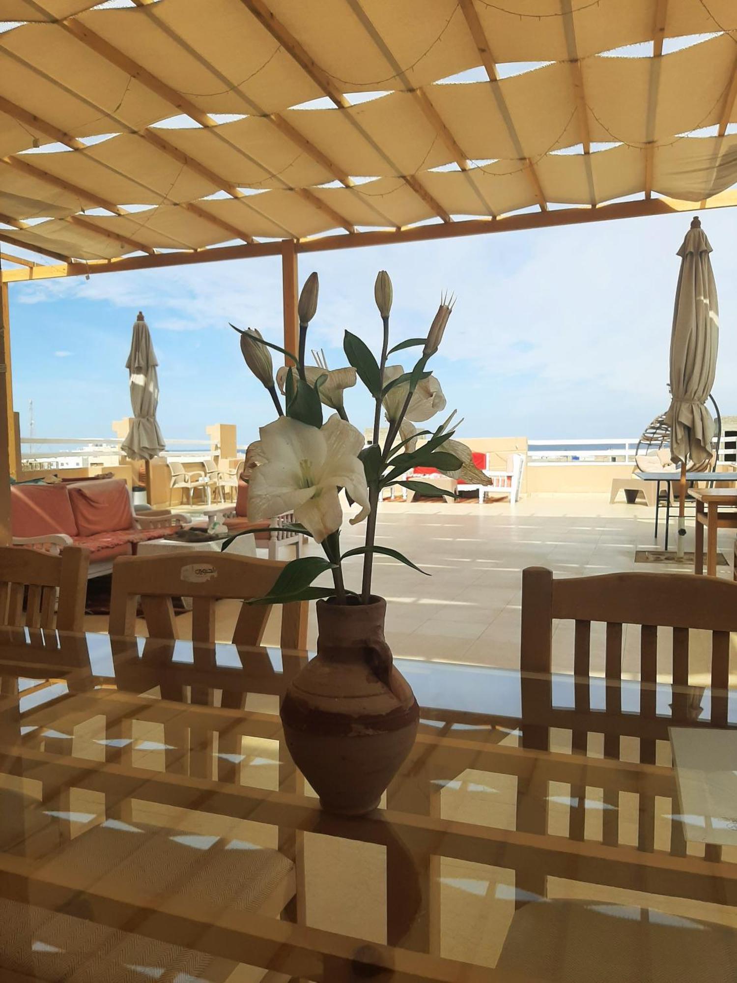 Alam B&B Marsa Alam Bagian luar foto