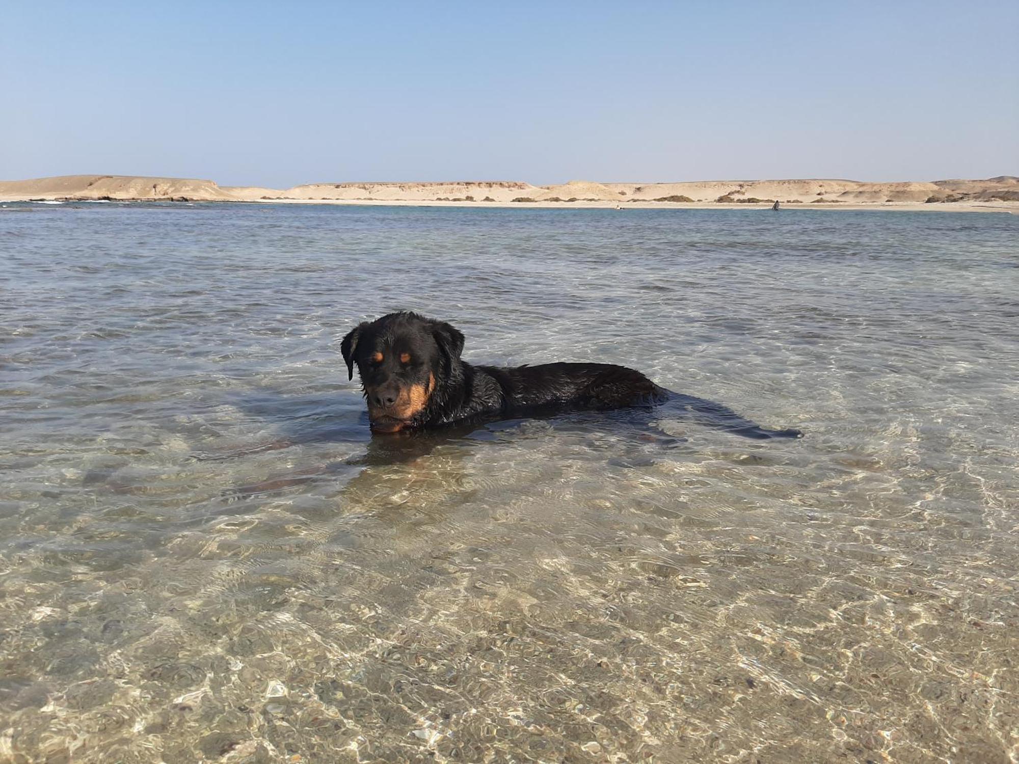 Alam B&B Marsa Alam Bagian luar foto